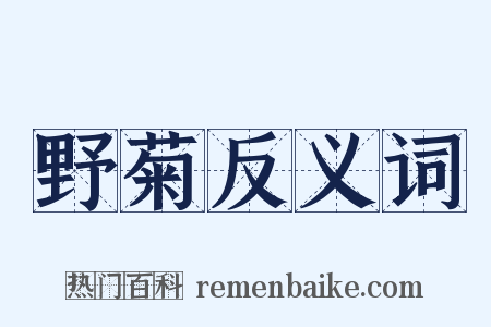 野菊反义词是什么意思的图片